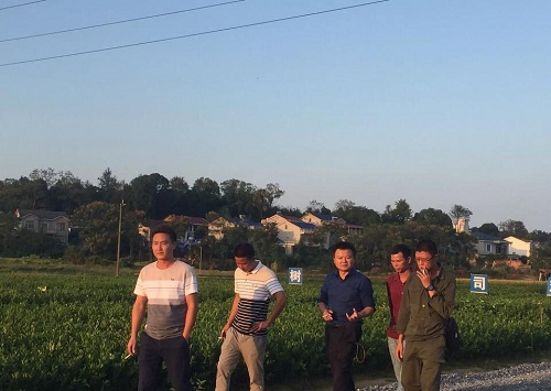 十月小陽春，栽苗好季節(jié)(附10月柑橘管理要點)