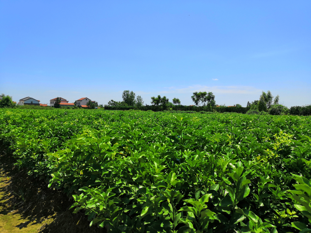 因為專注，所以專業