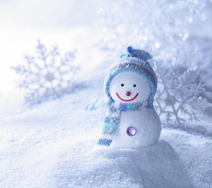 苗木越冬小知識