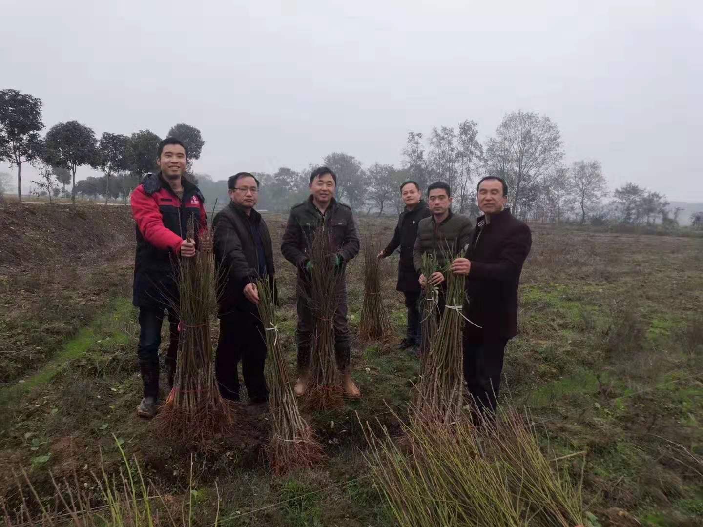 積極參與扶貧攻堅戰(zhàn)，樹人公司在行動