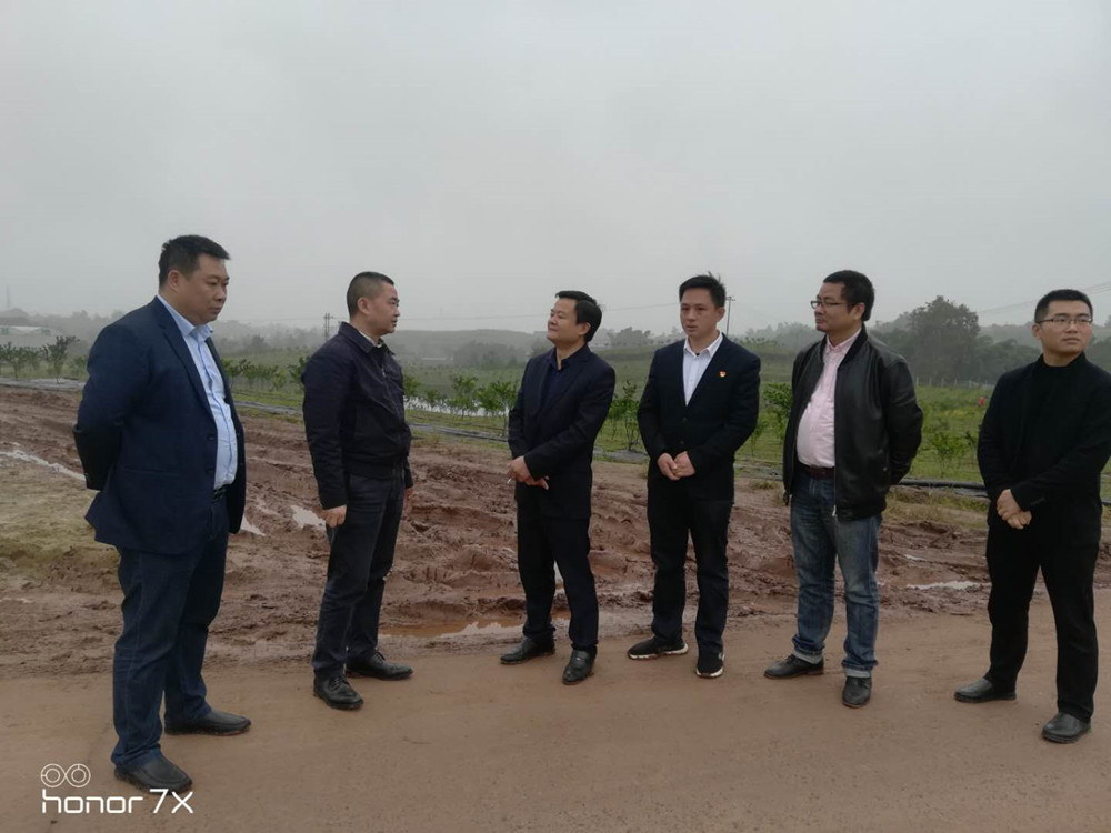 熱烈歡迎隆昌市委領導視察隆昌樹人農業科技有限公司