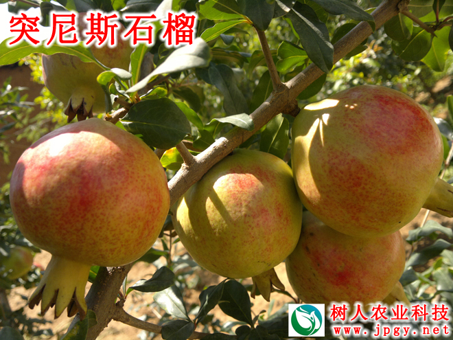 常德市萬路達(dá)物流股份有限公司,常德危險(xiǎn)品運(yùn)輸服務(wù),普貨運(yùn)輸服務(wù),物流生活服務(wù)哪里好