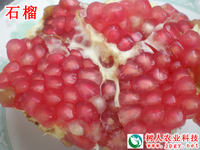 常德市萬路達(dá)物流股份有限公司,常德危險(xiǎn)品運(yùn)輸服務(wù),普貨運(yùn)輸服務(wù),物流生活服務(wù)哪里好