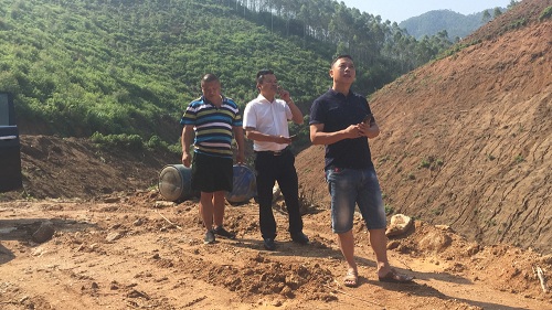 彩色油菜花的研究與開(kāi)發(fā)推廣