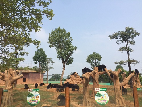 彩色油菜花的研究與開(kāi)發(fā)推廣