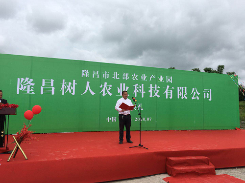 湖南樹人農林科技有限公司,湖南柑橘品種銷售,中國果樹網,常綠果樹類哪里好