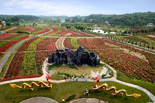 湖南樹人農林科技有限公司,湖南柑橘品種銷售,中國果樹網,常綠果樹類哪里好