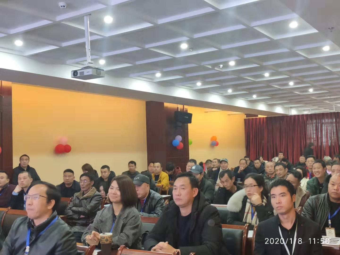 湖南樹人農林科技有限公司,湖南柑橘品種銷售,中國果樹網,常綠果樹類哪里好