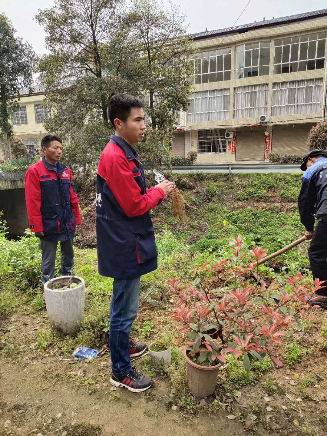 湖南樹人農(nóng)林科技有限公司,湖南柑橘品種銷售,中國果樹網(wǎng),常綠果樹類哪里好