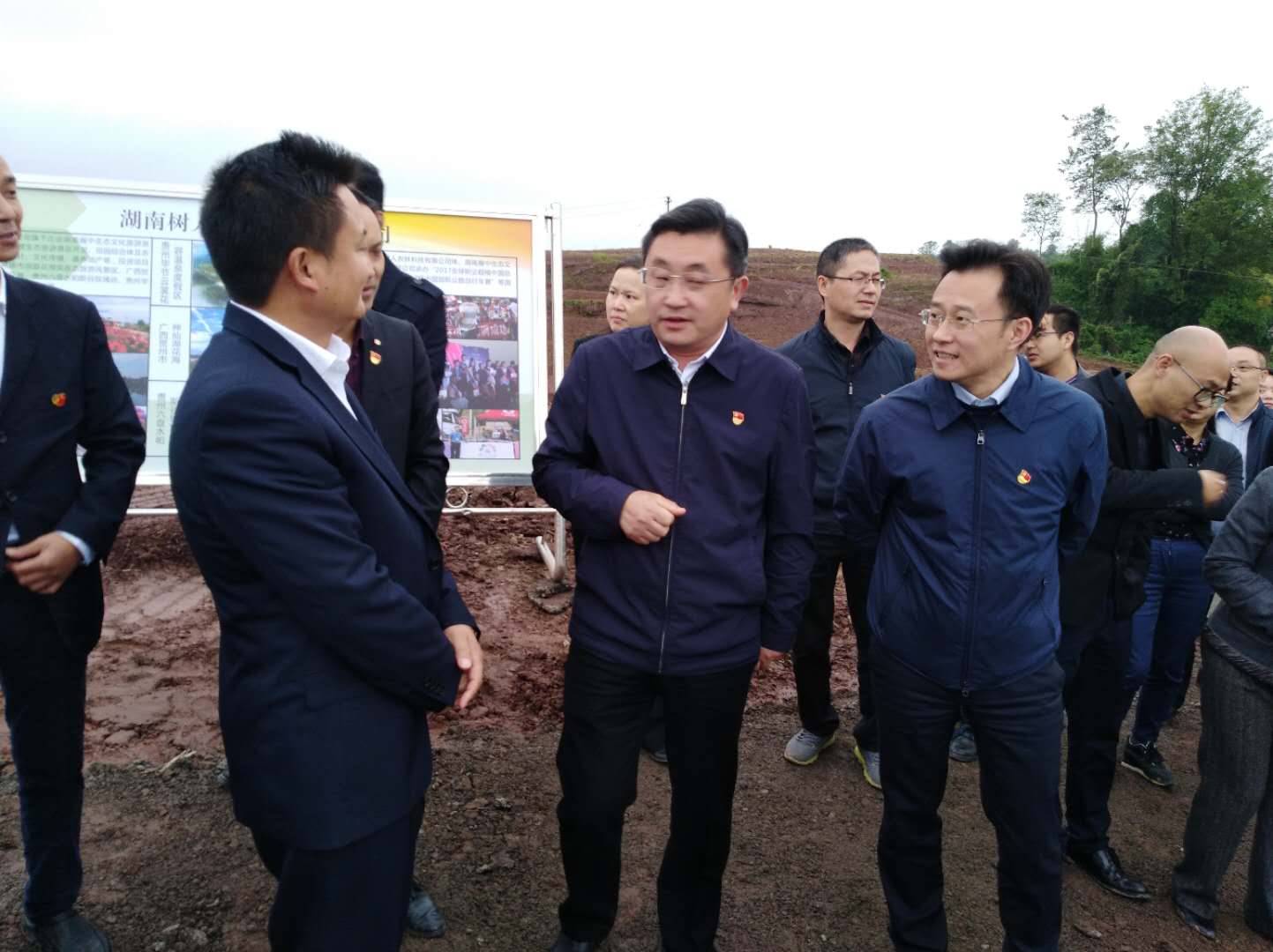 湖南樹人農林科技有限公司,湖南柑橘品種銷售,中國果樹網,常綠果樹類哪里好