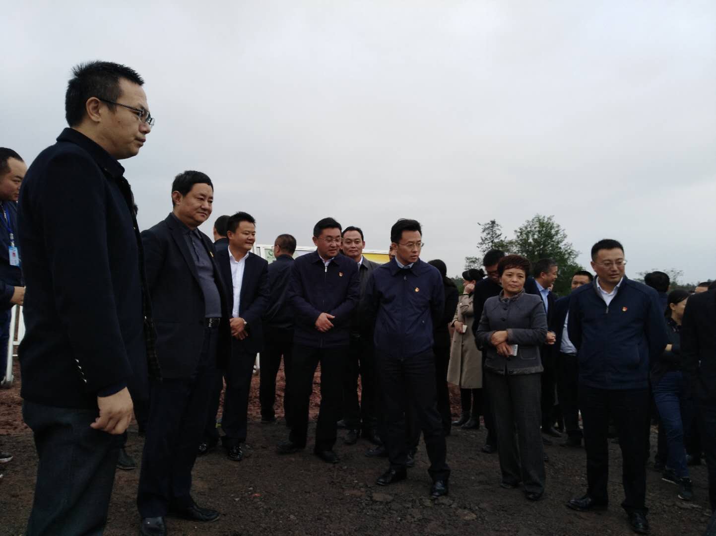 湖南樹人農林科技有限公司,湖南柑橘品種銷售,中國果樹網,常綠果樹類哪里好