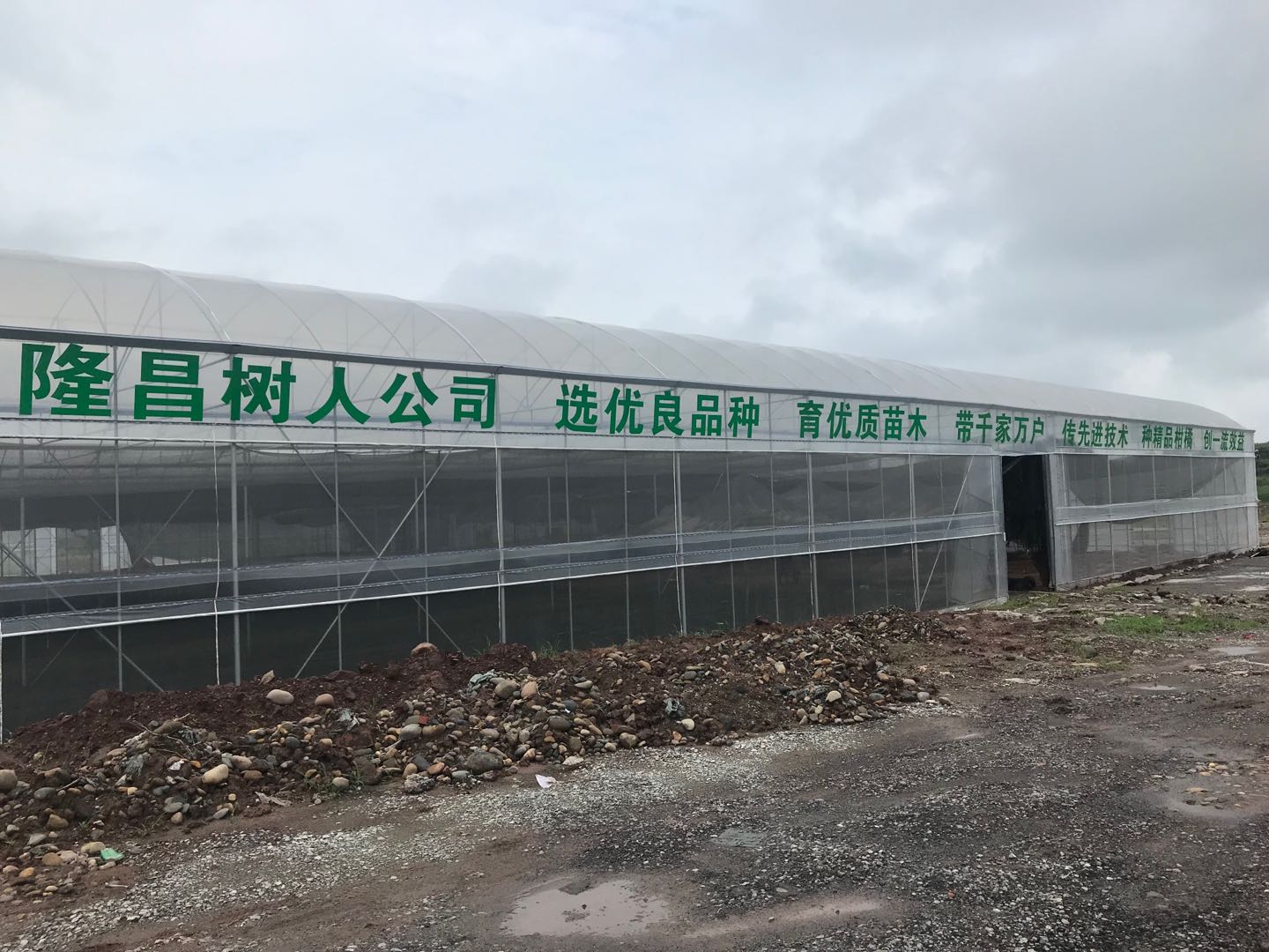 湖南樹人農林科技有限公司,湖南柑橘品種銷售,中國果樹網,常綠果樹類哪里好