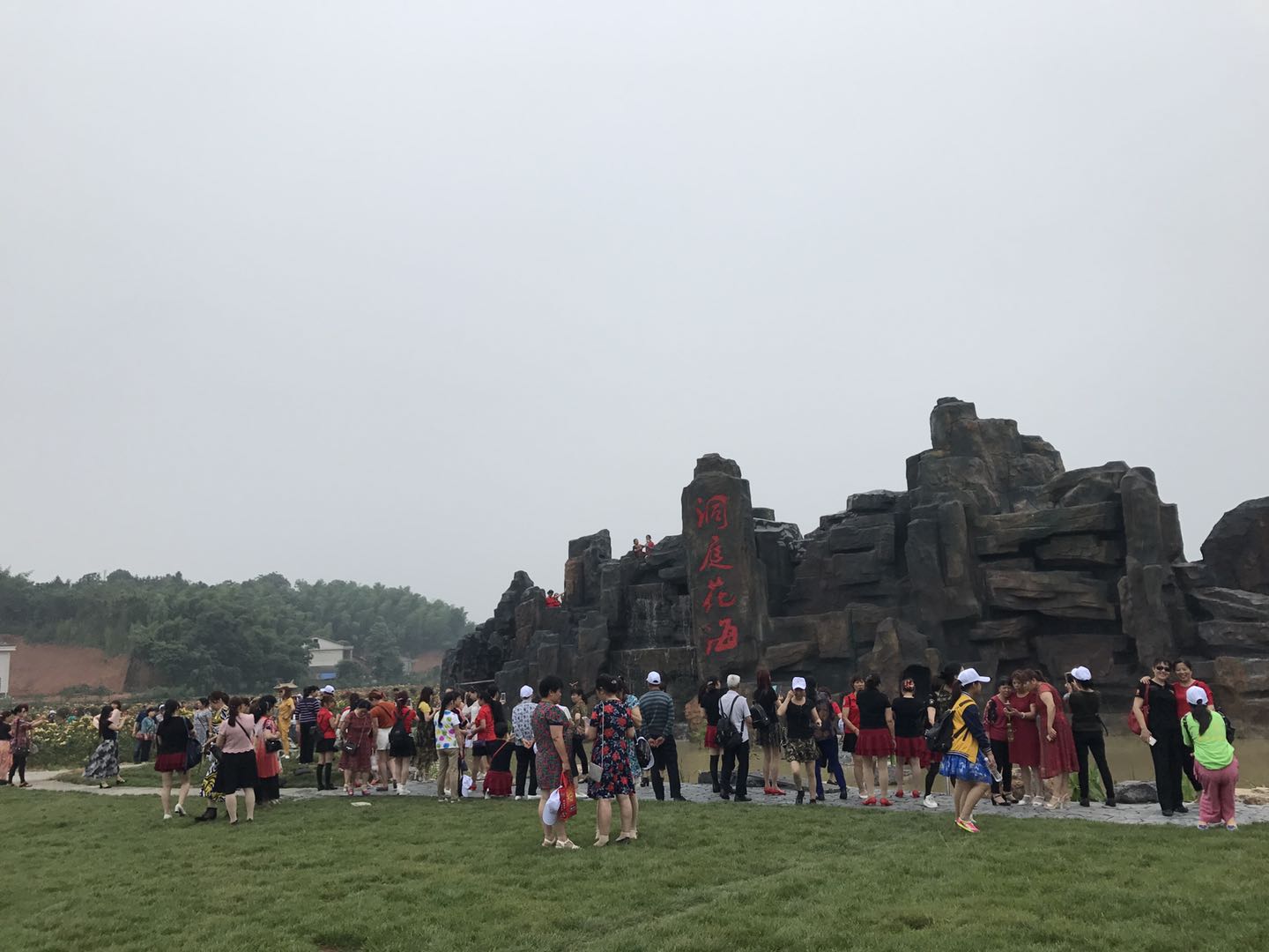 湖南樹人農林科技有限公司,湖南柑橘品種銷售,中國果樹網,常綠果樹類哪里好