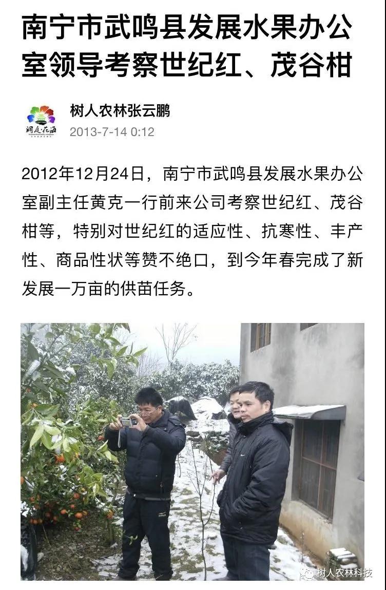 湖南樹人農林科技有限公司,湖南柑橘品種銷售,中國果樹網,常綠果樹類哪里好