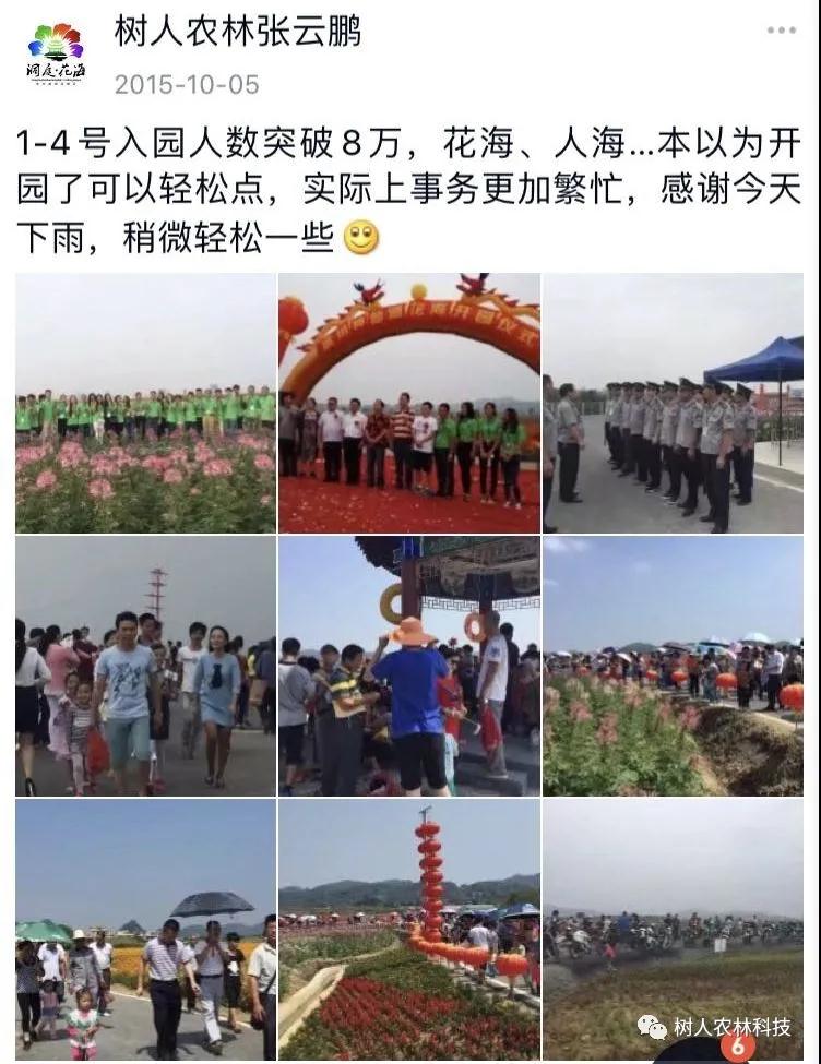 湖南樹人農林科技有限公司,湖南柑橘品種銷售,中國果樹網,常綠果樹類哪里好