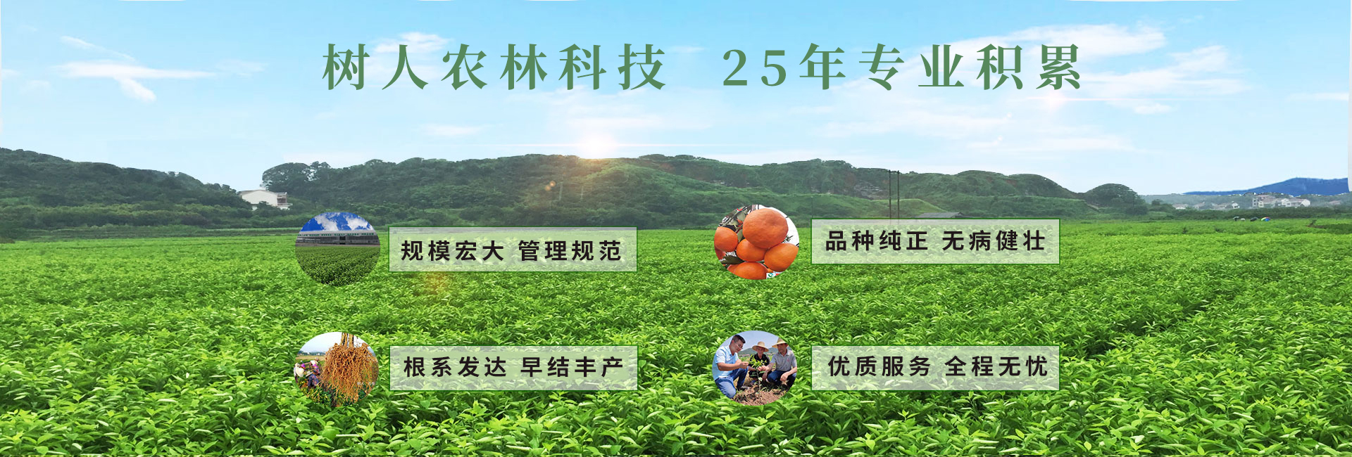 湖南樹人農(nóng)林科技有限公司_樹人農(nóng)林丨樹人農(nóng)業(yè)丨農(nóng)業(yè)科技丨現(xiàn)代農(nóng)業(yè)丨柑橘丨柑橘苗木丨果樹苗木丨綠化苗木丨種子種苗丨田園綜合體丨鄉(xiāng)村旅游丨觀光休閑等