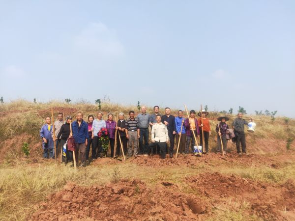 湖南樹人農林科技有限公司,湖南柑橘品種銷售,中國果樹網,常綠果樹類哪里好